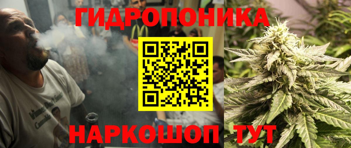 Шахты  Конопля White Widow  Бошки марихуана VHQ  Вход с VPN  Конопля сатива 